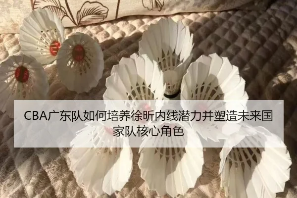 CBA广东队如何培养徐昕内线潜力并塑造未来国家队核心角色